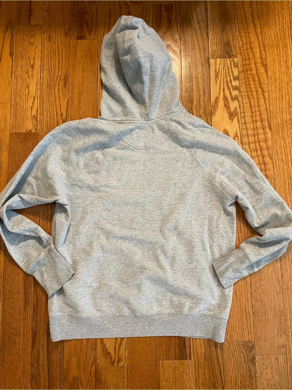 Champion Kids Gray Pullover Hoodie With Blue Graphics Size L
